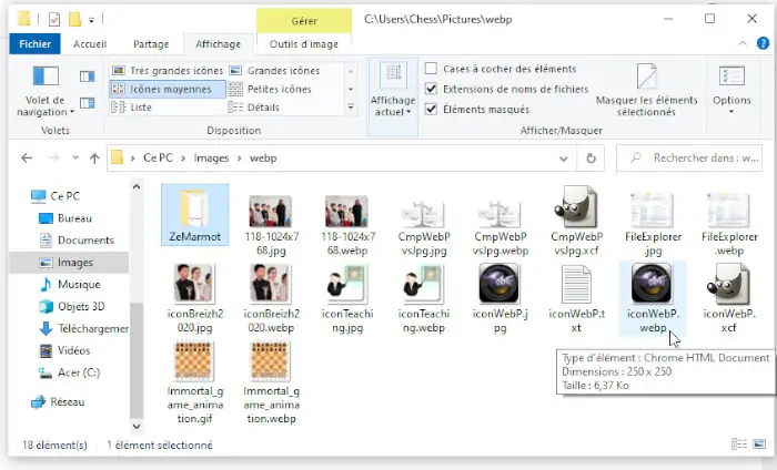 Vignettes WebP dans l'explorateur de fichiers de Windows 10